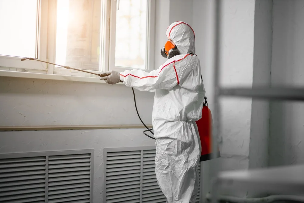 Professional mold remediation services in Elizabeth, CO